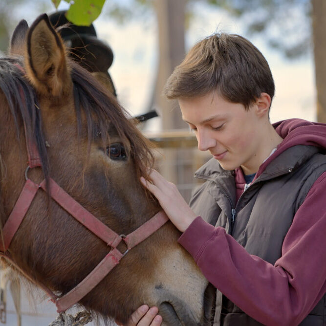 Happy teenager boy with horse